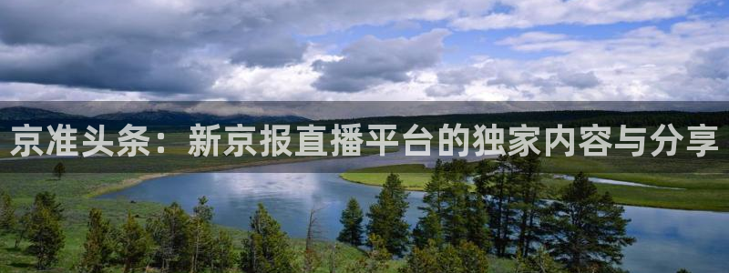 袋鼠直播体育app下载