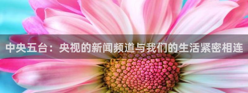 袋鼠直播nba在线观看：中央五台：央视的新闻频道与我们的生活紧密相连