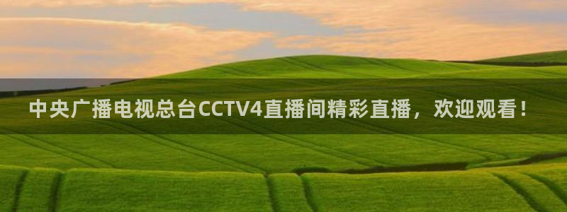 袋鼠直播篮球：中央广播电视总台CCTV4直播间精彩直播，欢迎观看！