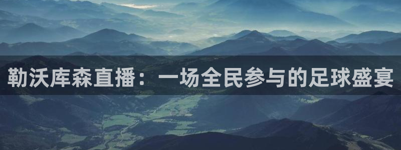 袋鼠直播体育nba直播：勒沃库森直播：一场全民参与的足球盛宴